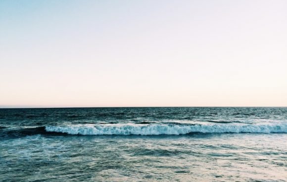 Corallium_Dunamar_mar